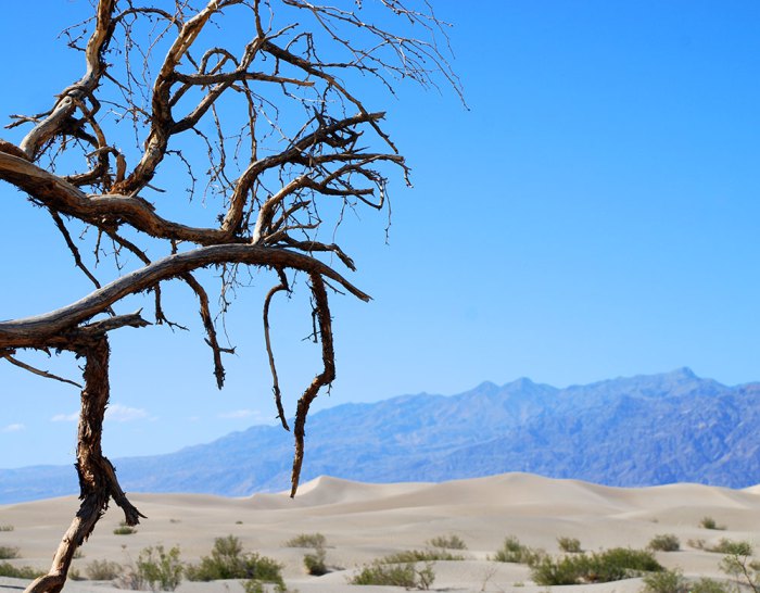 Día 9 Death Valley, el desierto de la Costa Oeste de Estados Unidos