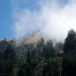 Niebla en la Costa de California