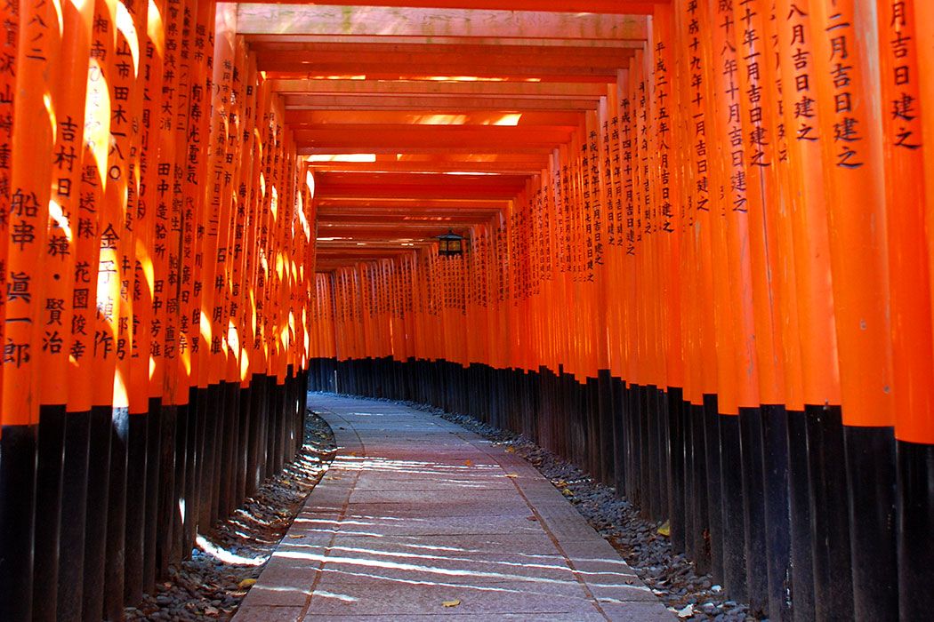 Día 3. Fushimi Inari – Nara – Osaka
