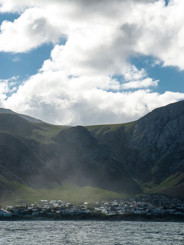 hermanus avistamiento ballenas