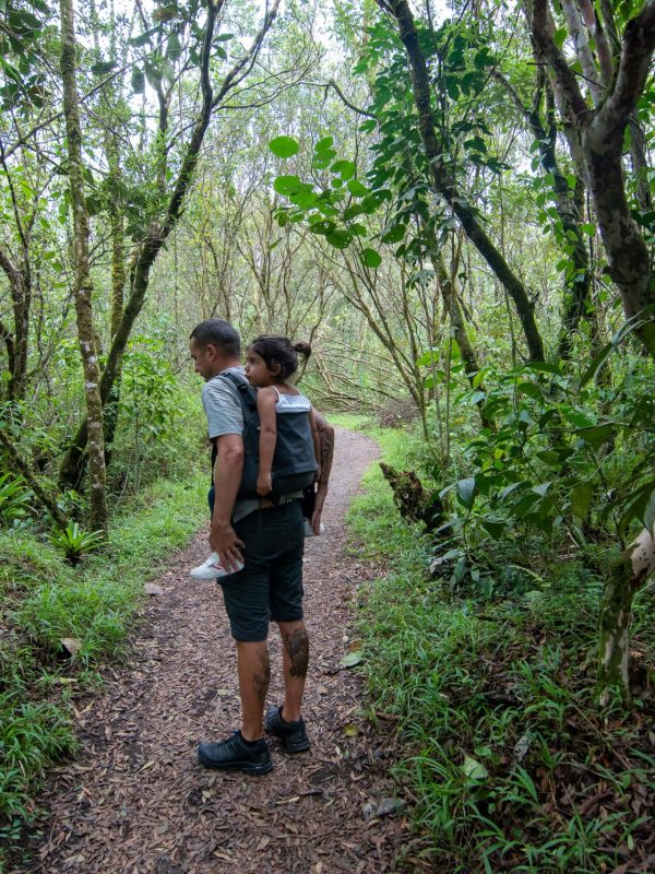 lago-arenal5 viajar con niños costa rica