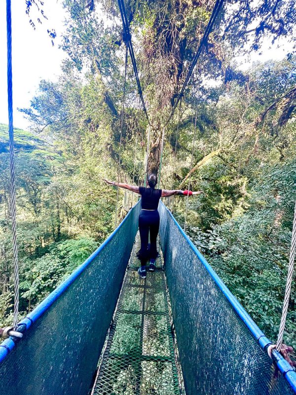 hotel heliconias volcan tenorio
