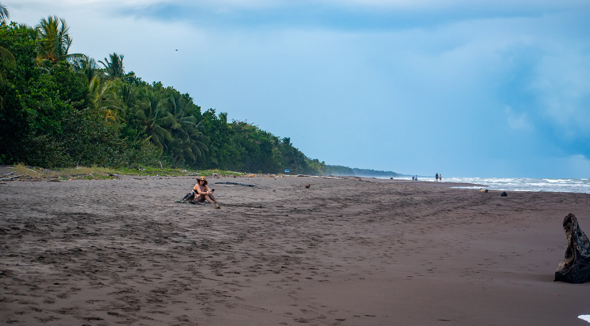 Qué ver y qué hacer en Tortuguero Costa Rica