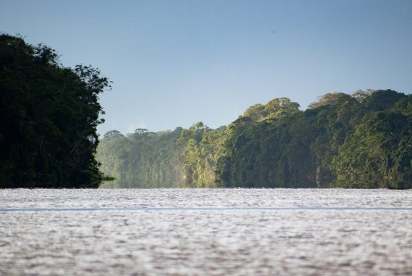 amanecer en tortuguero