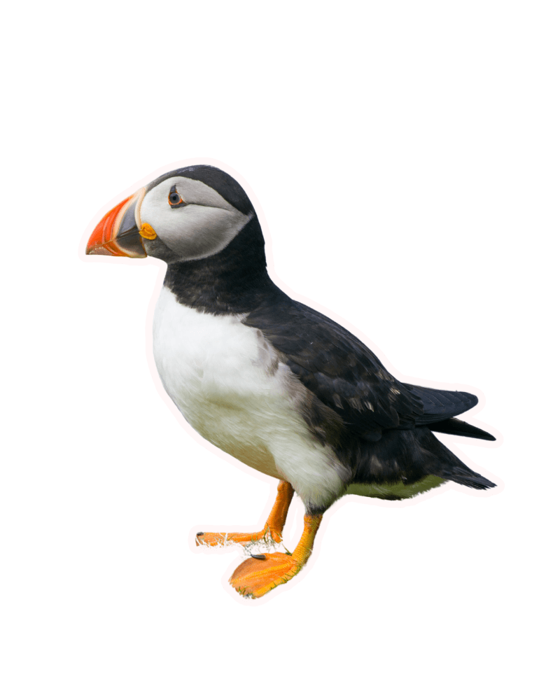 cascadas de islandia