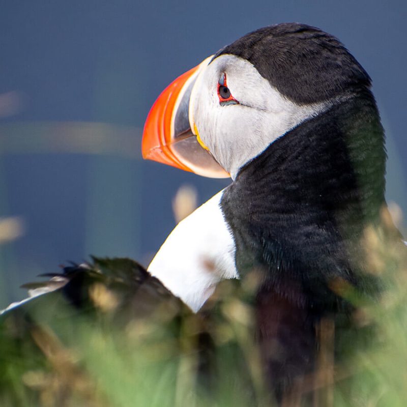 que ver en los fiordos del oeste