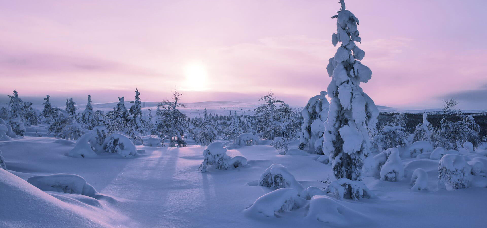Qué tipo de ropa para Laponia elegir si viajas en invierno, ¿cómo vestirse para vivir bajo cero?