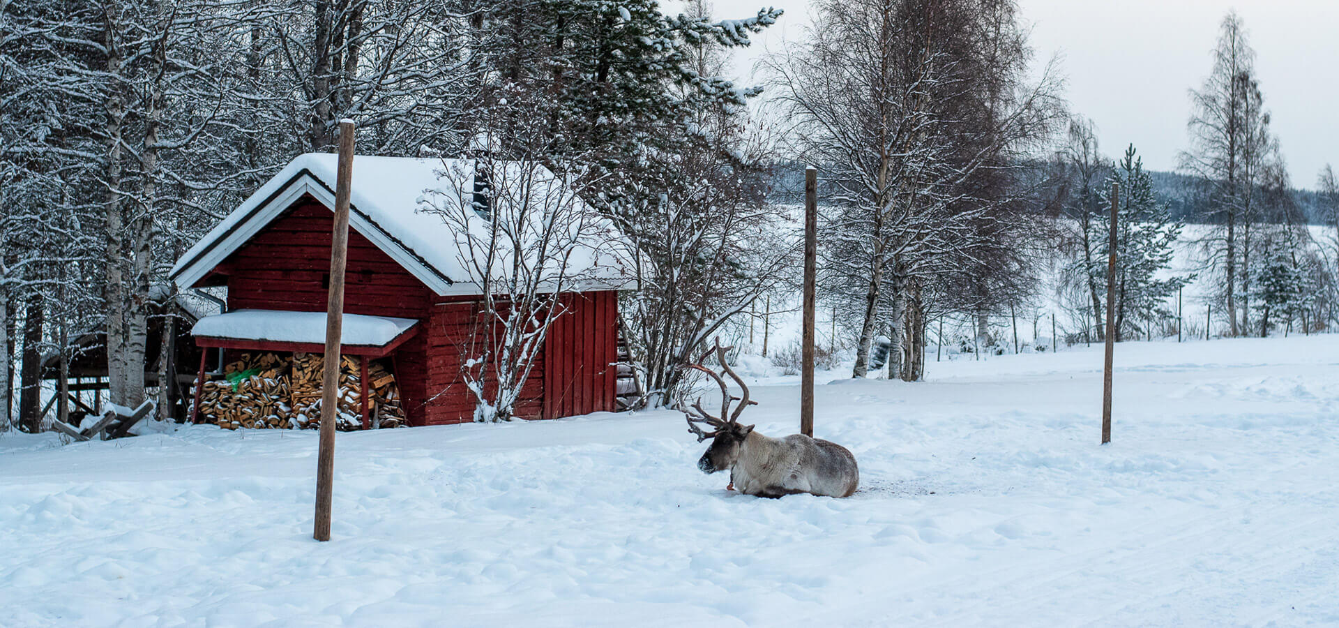 ¿Qué actividades gratis y pagando realizar en Laponia? Te doy las mejores opcioneds