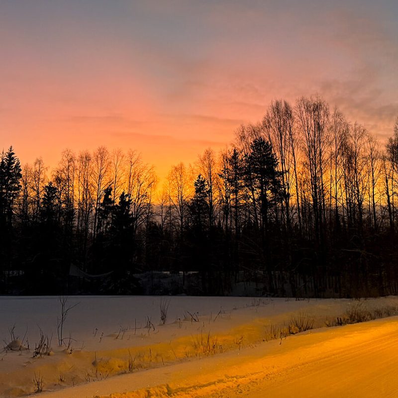conducir en invierno en laponia