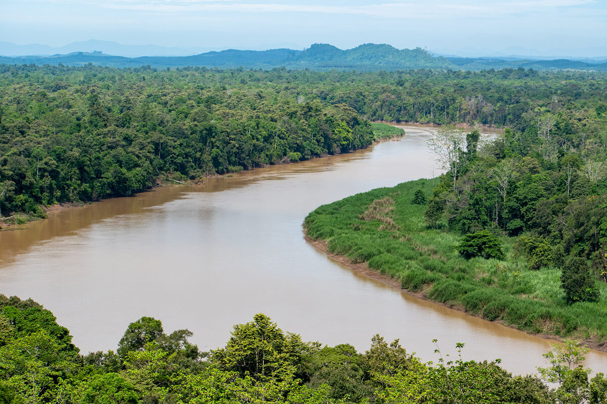 crucero por el rio kinabatangan