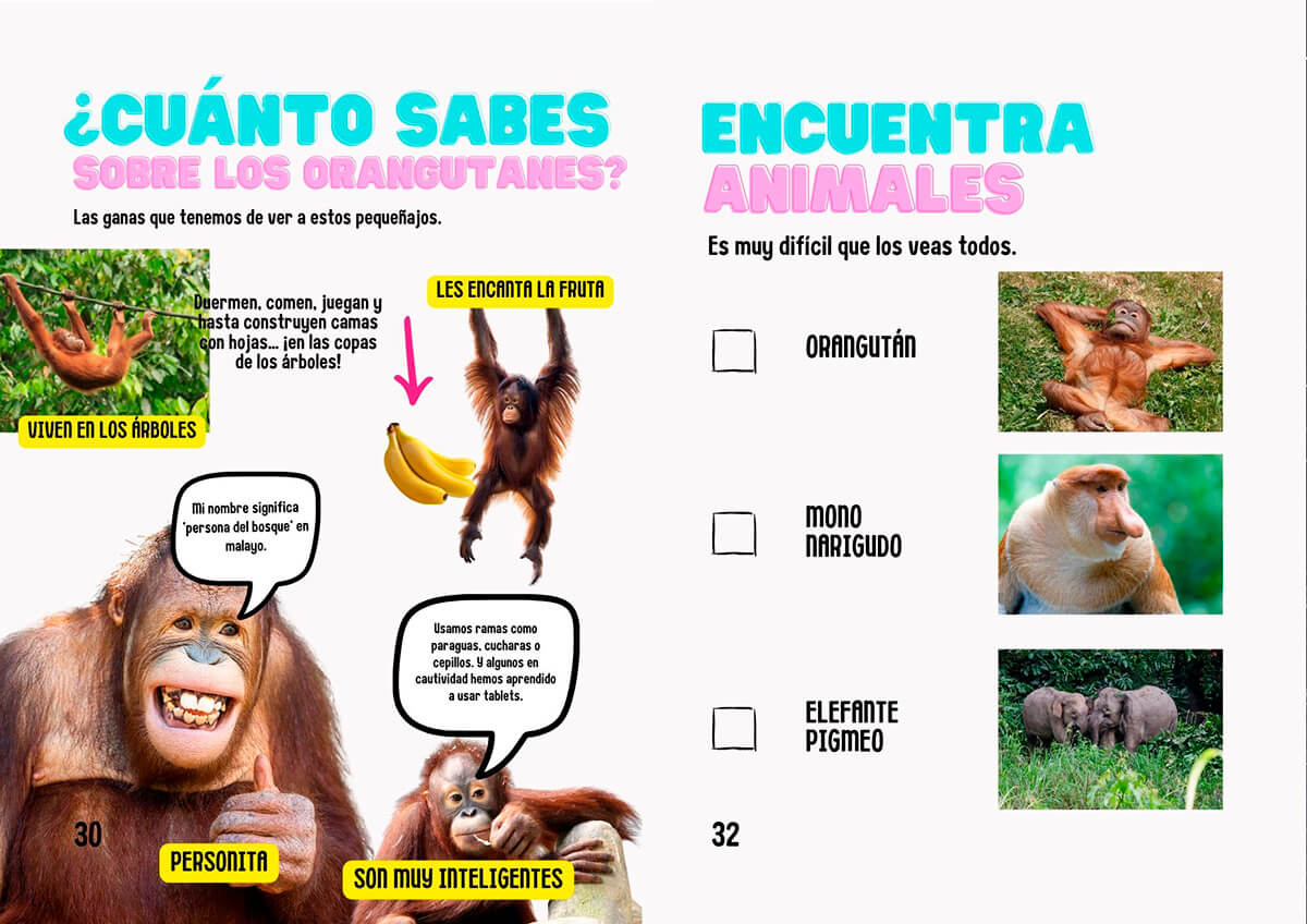 pasaporte ludico niños