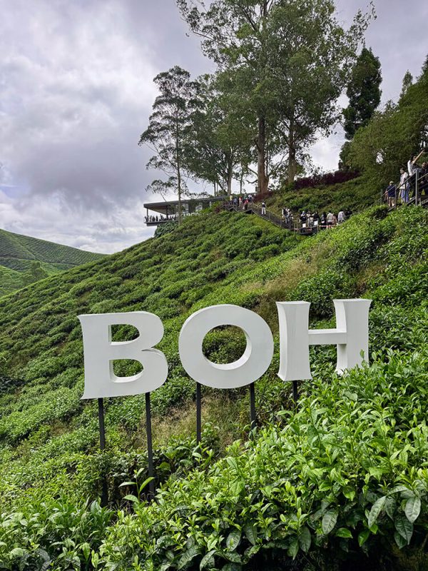 que visitar en cameron highlands