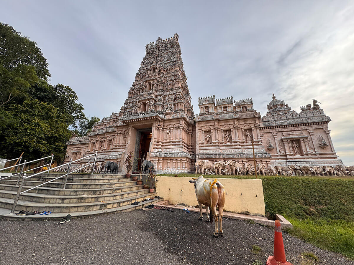 que ver en kuala selangor