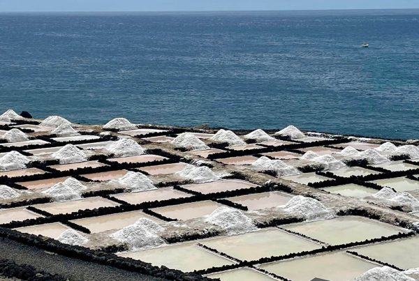 volcan teneguia salinas