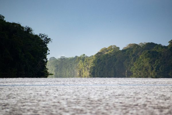 amanecer en tortuguero