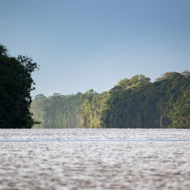 amanecer en tortuguero
