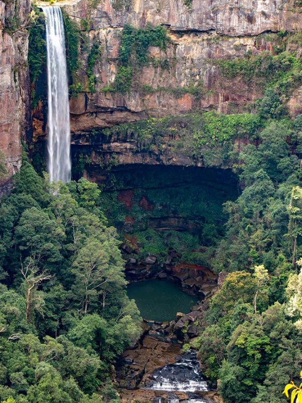cascada en el bosque de los alrededores de sidney