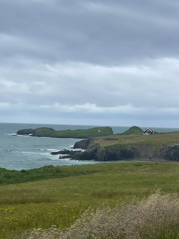 frailecillos-23 Borgarfjörður Eystri
