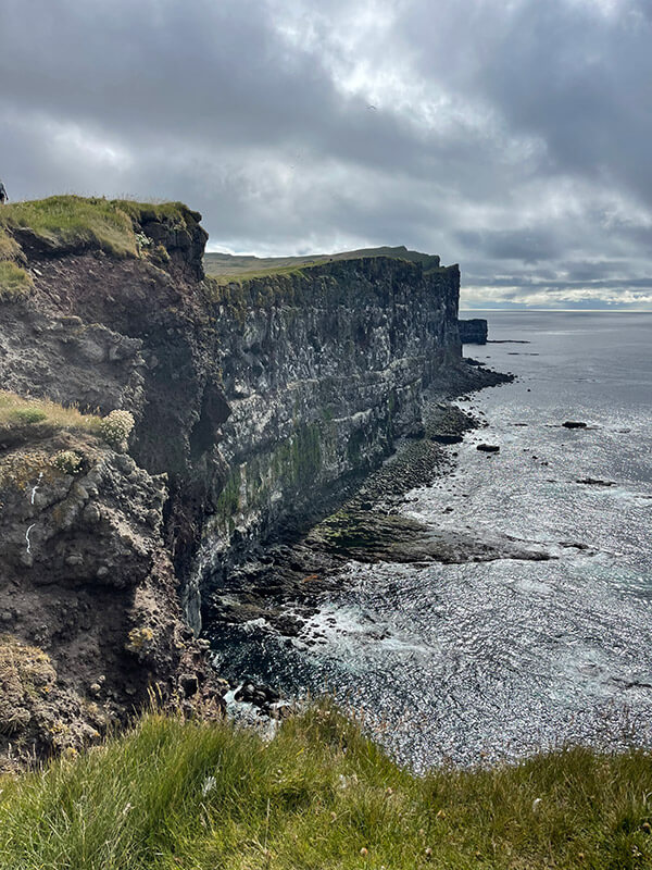 frailecillos-24 Látrabjarg