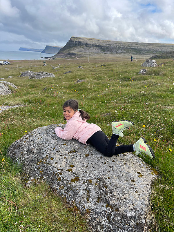 frailecillos-26 acantilados de Látrabjarg