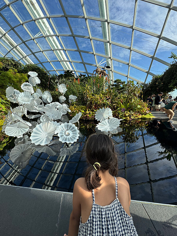 antes de viajar a singapur