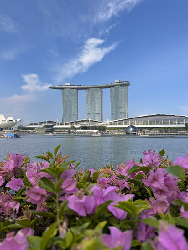 marina bay sands en singapur
