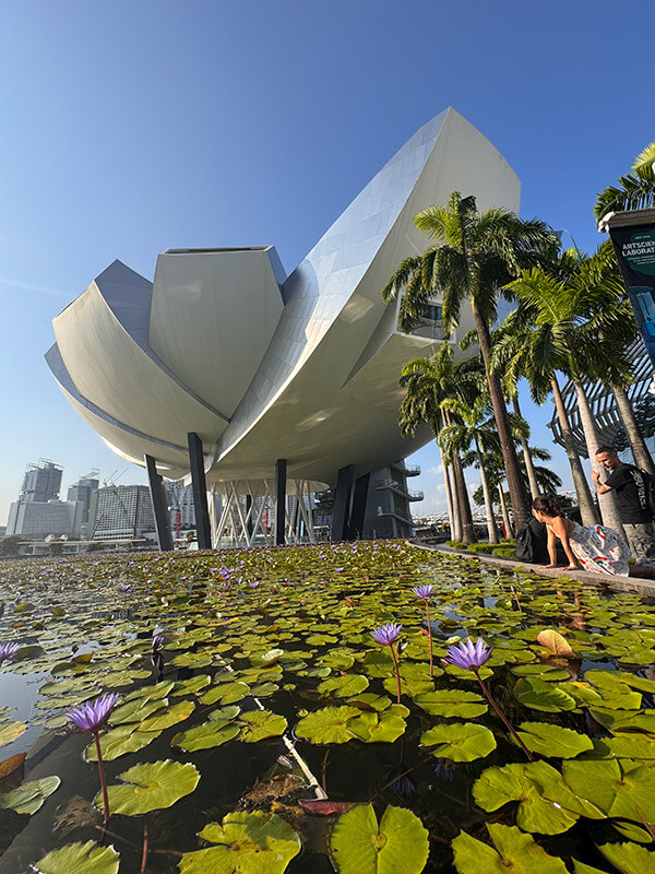 museo de arte y ciencia