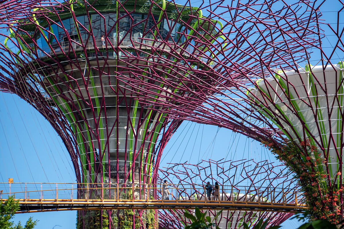 pasarelas gardens by the bay