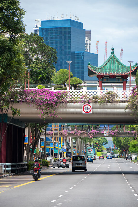que visitar en singapur