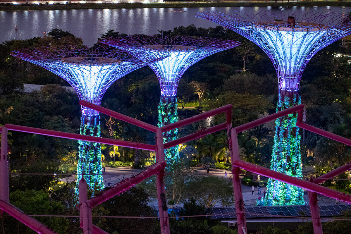 espectaculo luces gardens by the bay